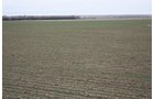 Property photo 22 - Kansas Land Auction - 960 Acres - 7 Farms in 3 Counties